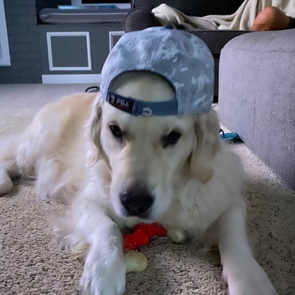 Meet your Posher, Drew - Picture 1 of 1